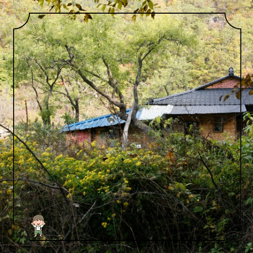 정선 가볼만한 곳
