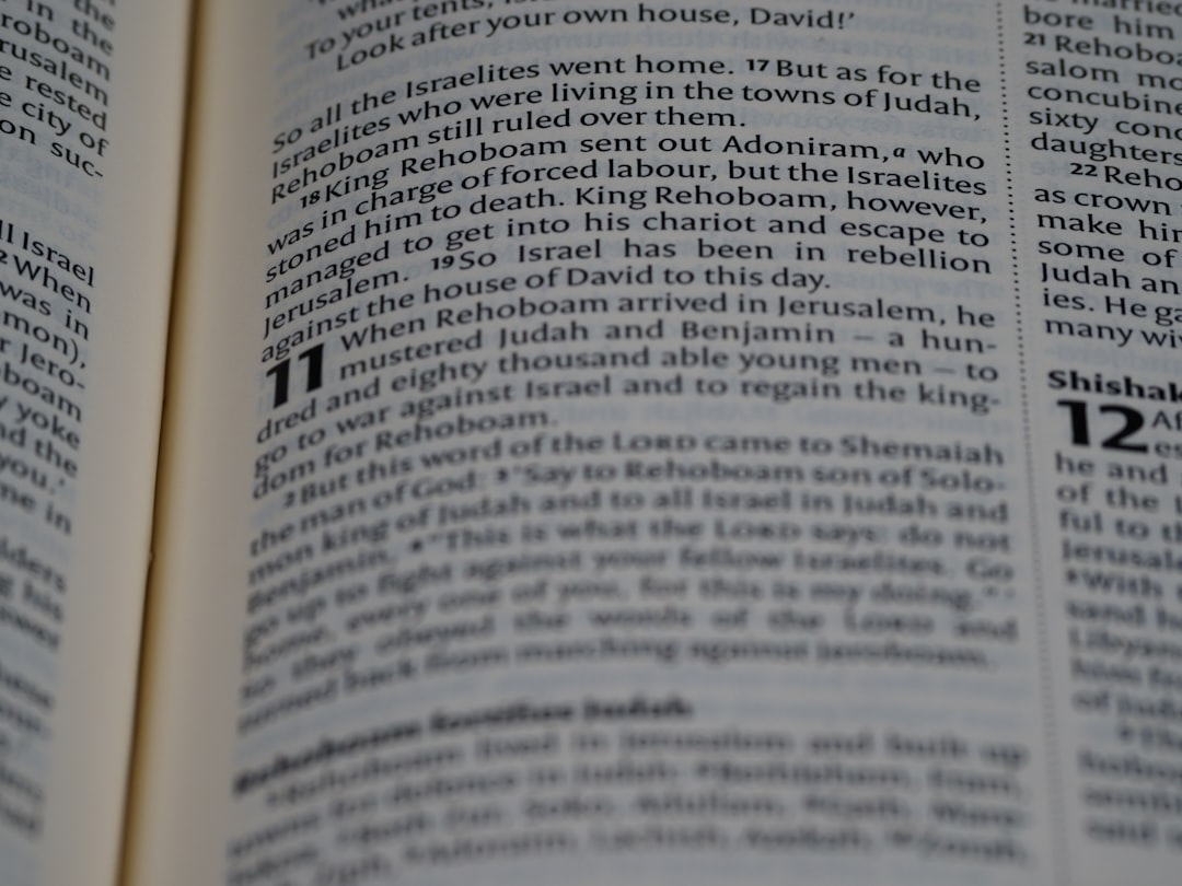 '세비타비겔'에서 가장 중요한 명사는 '비겔'입니다. 영어로는 'Vigel'로 번역될 수 있습니다.