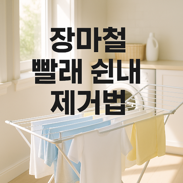 장마철 쉰내 제거 방법 썸네일 이미지입니다.