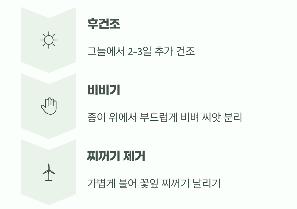 숨어있는 보물찾기&amp;#44; 씨앗 분리하기