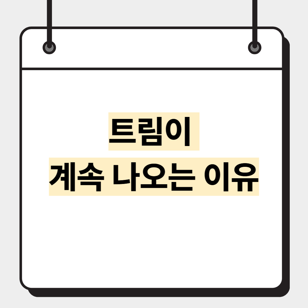트림이 계속 나오는 이유