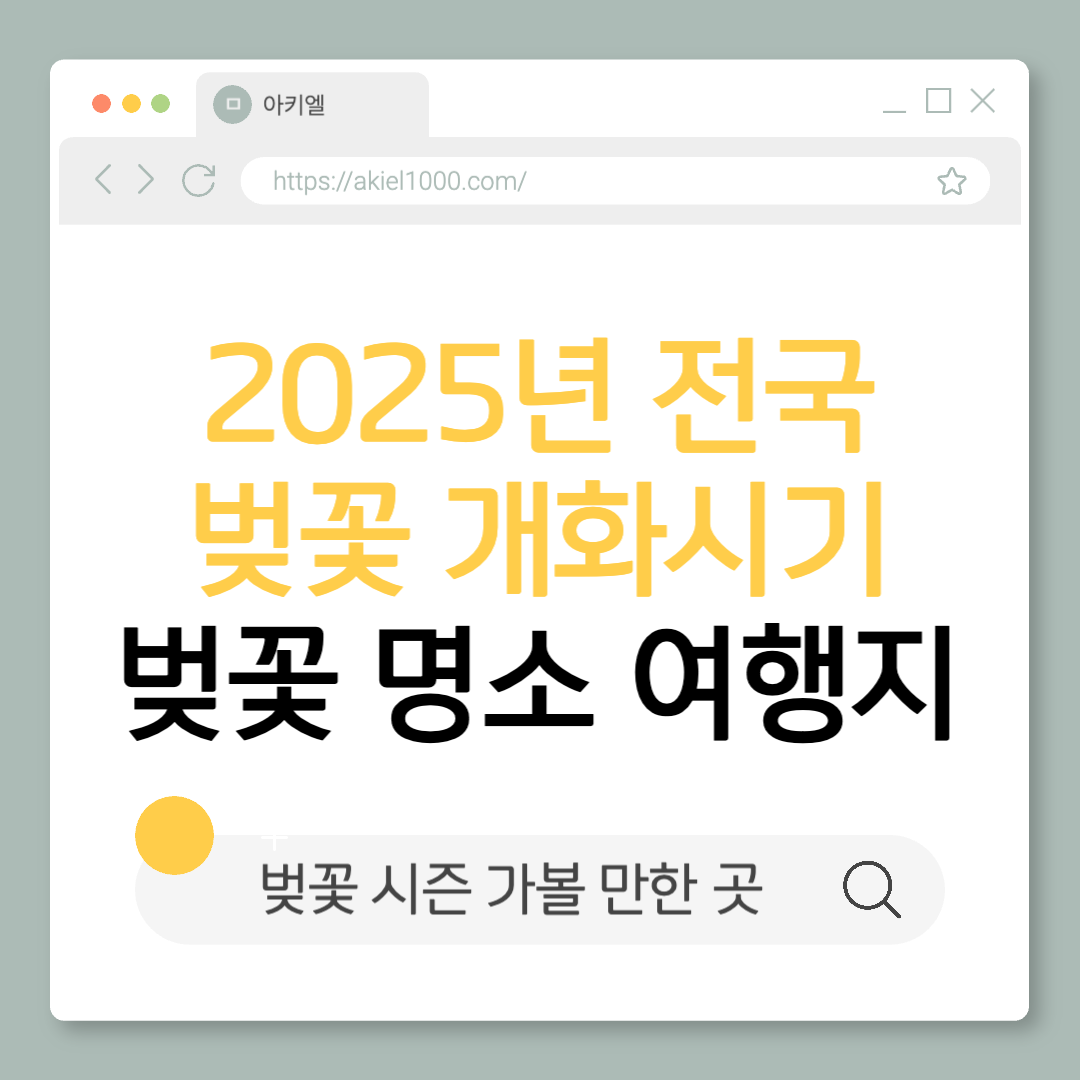 2025년 전국 벚꽃 개화 시기 및 가볼만한 곳 여행지 명소 추천 서울 여의도 석촌호수 남산타워 서울대공원