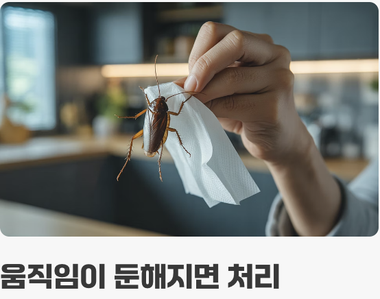 눈앞의 침입자, 당장 퇴치하는 법