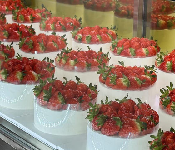 성수동 딸기케이크 성지 ‘스노우베리’ – 진짜 딸기를 ‘때려 넣은’ 케이크 맛집!