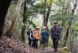 2024 땅끝해남 달마고도 힐링축제 기본일정과 특징 소개