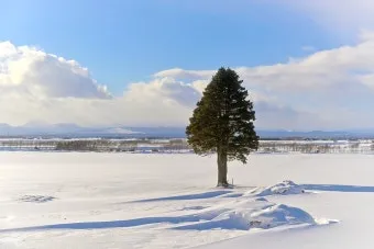 홋카이도 북해도 오타루 자유여행 코스 일정_24