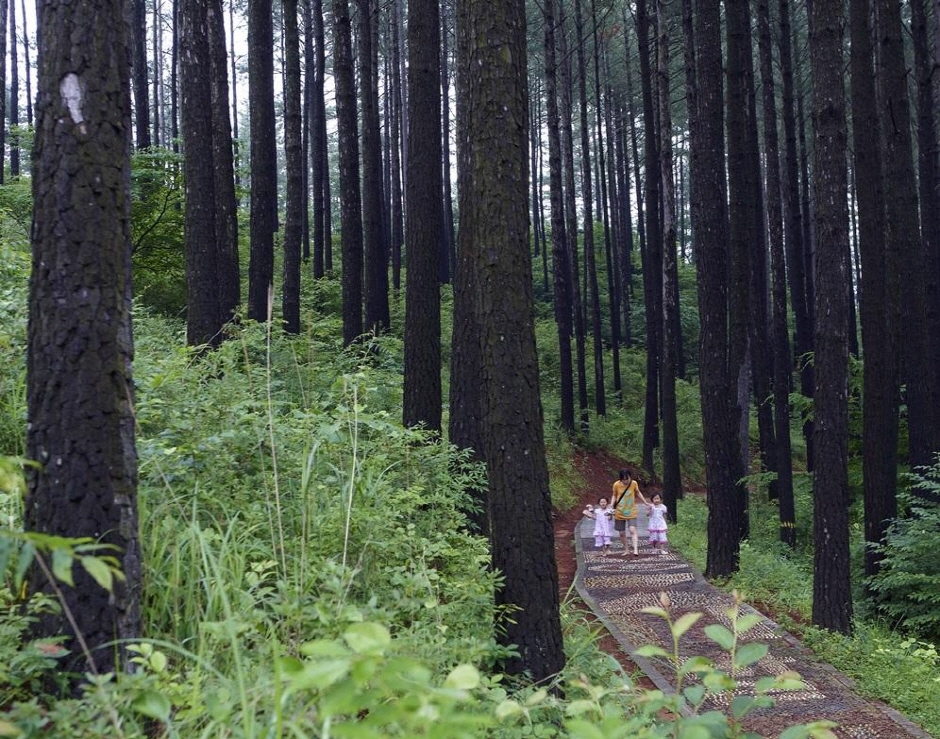 광양 가볼만한곳 베스트10