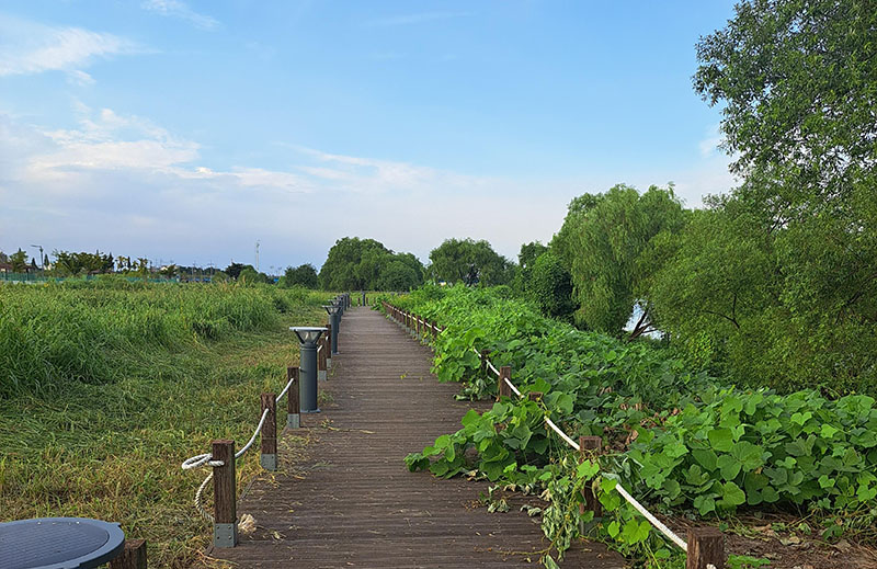 당진 삽교파크골프장 (삽교천파크골프장, 삽교호파크골프장)