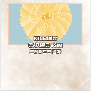 KT미리보상 공시지원금 eSIM 트레이드인 절차