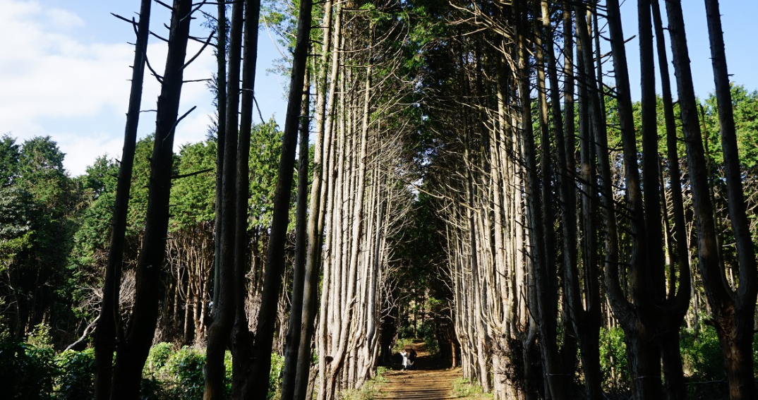 제주 가볼만한곳
