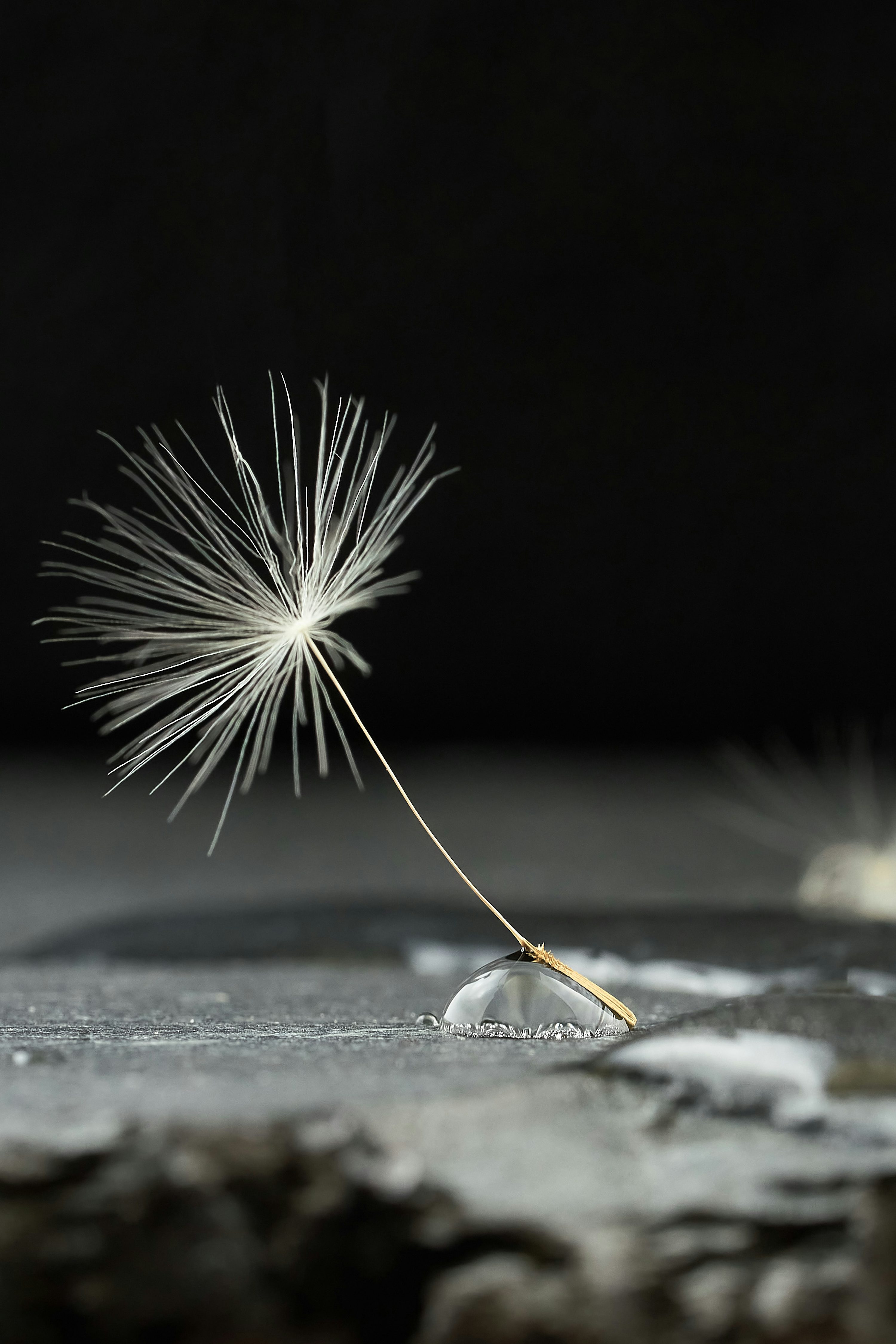 시작 관련 이미지