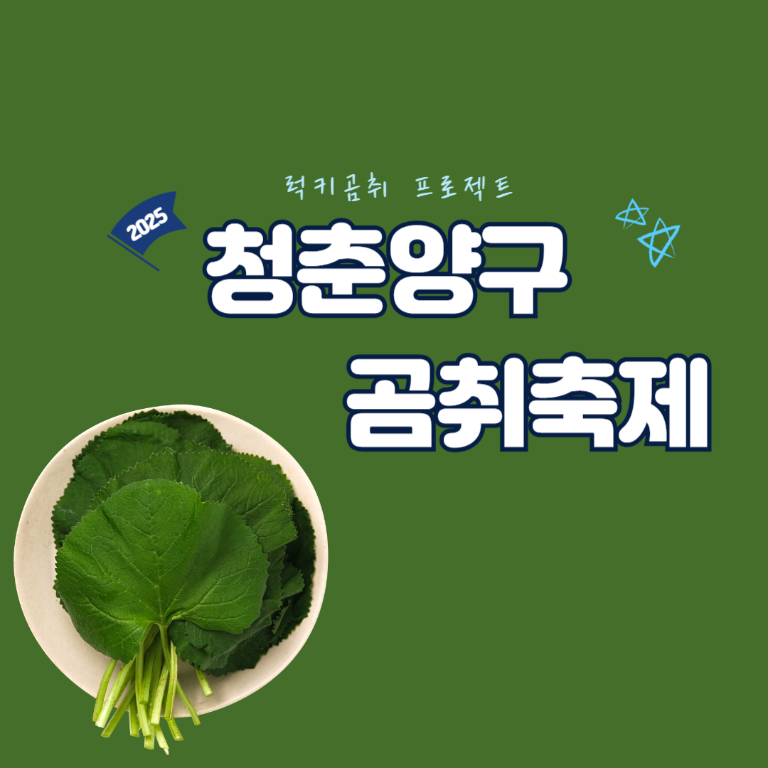 청춘양구 곰취축제