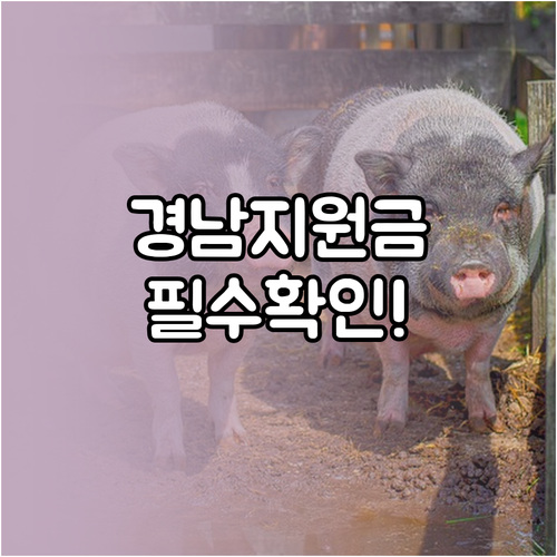 경상남도 생활지원금 지급 금액과 가구..