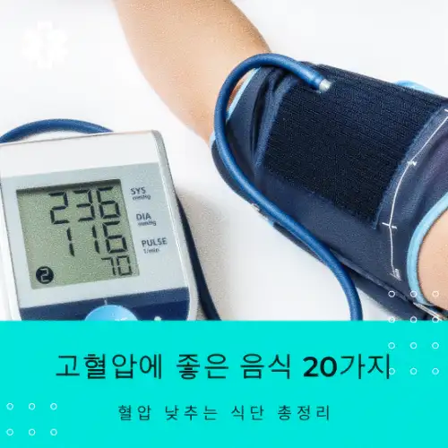 고혈압에 좋은 음식 20가지