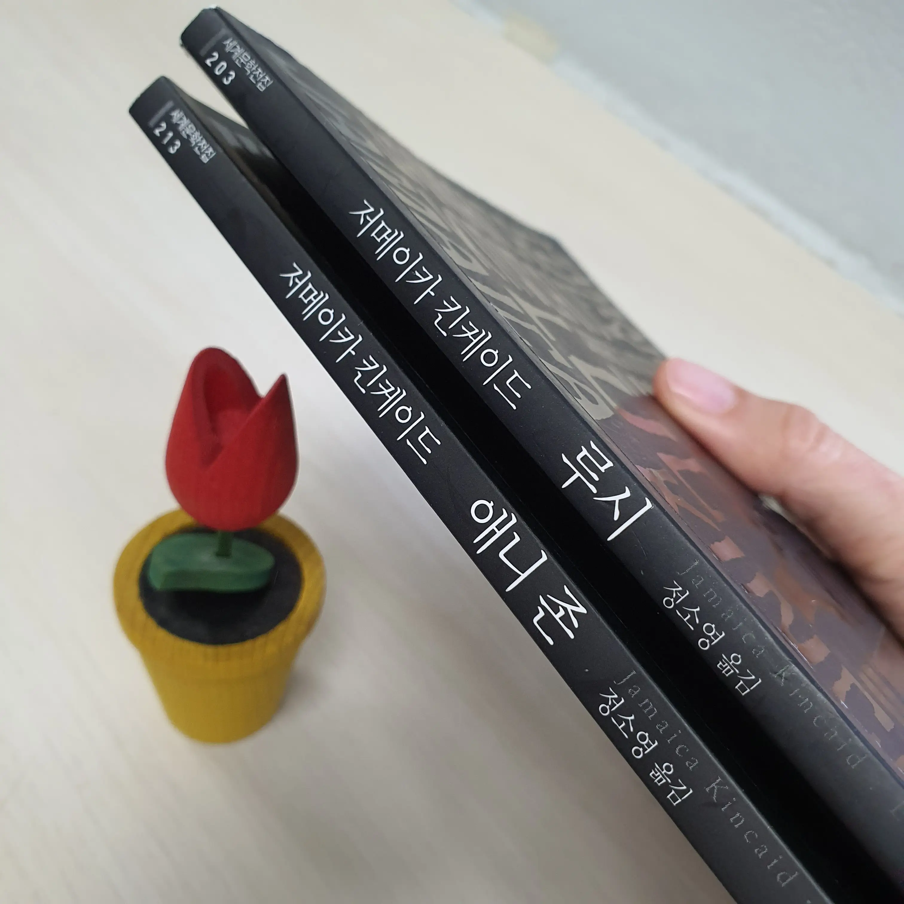 문학동네-세계문학전집으로-발행된-저메이카-킨케이드의-장편소설-루시와-애니존