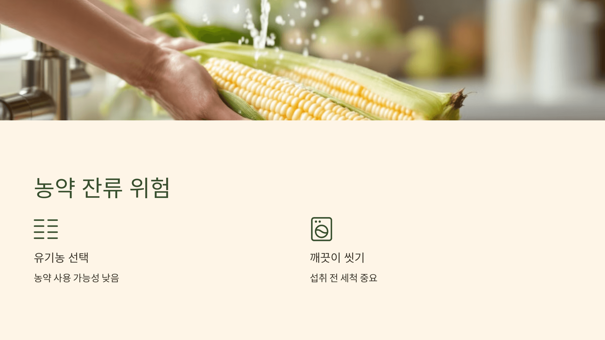 옥수수 사진입니다.