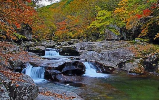 지리산 단풍