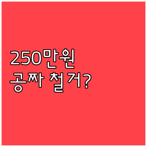철거 공사 전 신청 필수 최대 250..