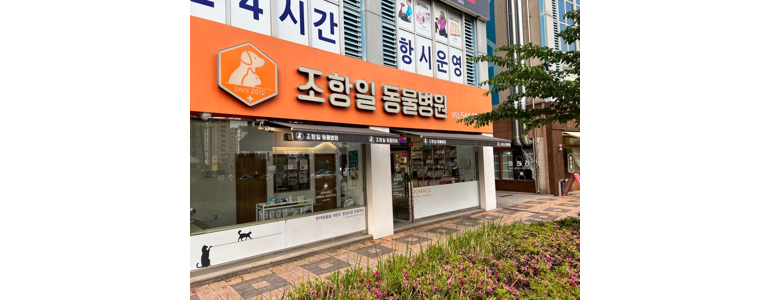 창원 진해구 동물병원