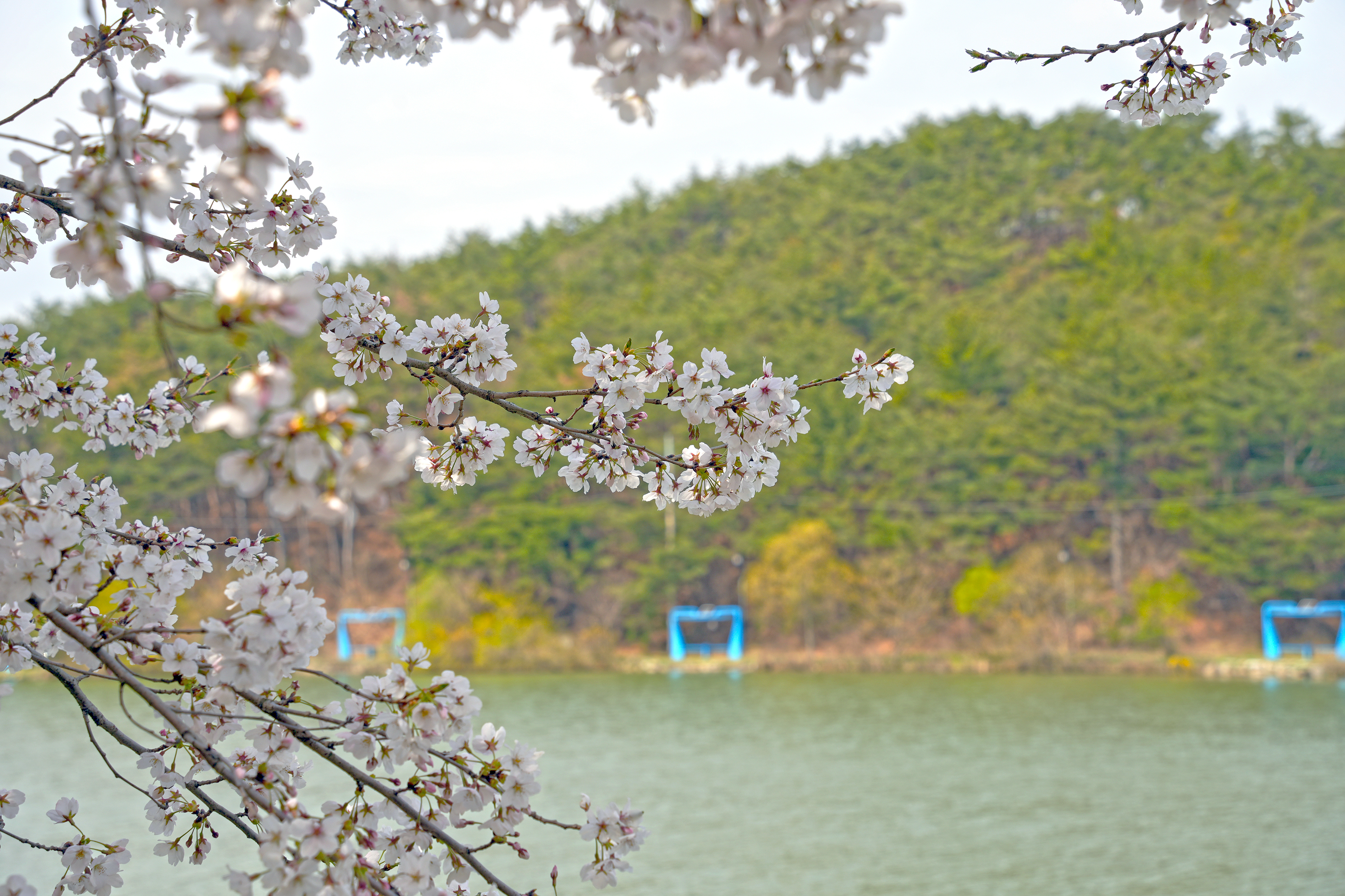 영지 둘레길 관련사진2