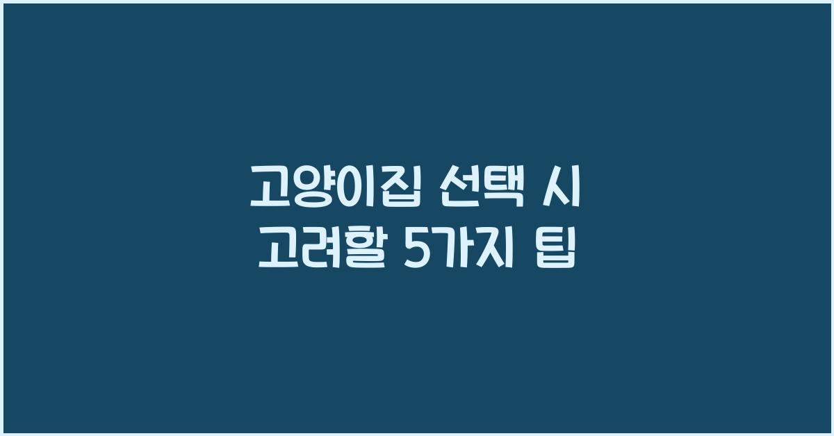 고양이집