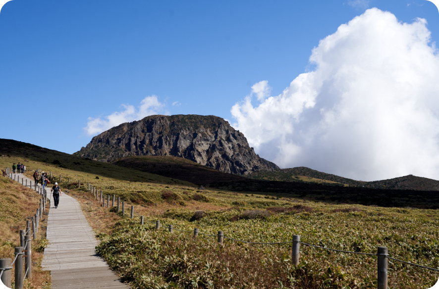 한라산 영실코스사진