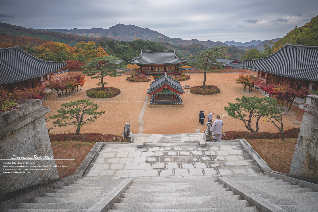 #충주 #석종사 #불교 #사찰 #가을 #단풍