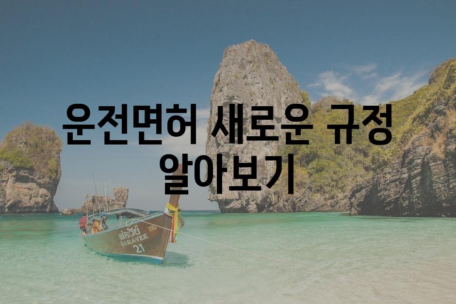 샘플 (80)
