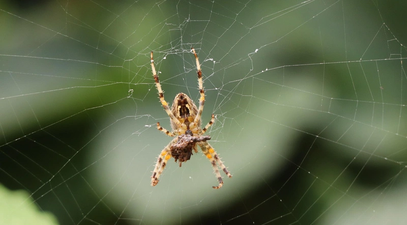 건설업계의 새로운 시작
