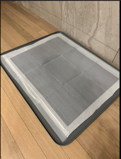 배변패트 사용
