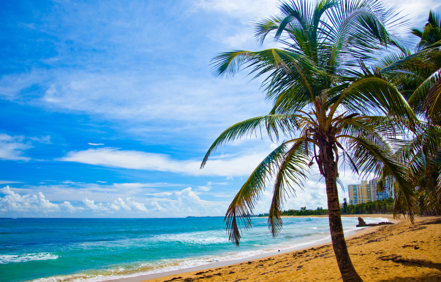 푸에르토리코-풍경