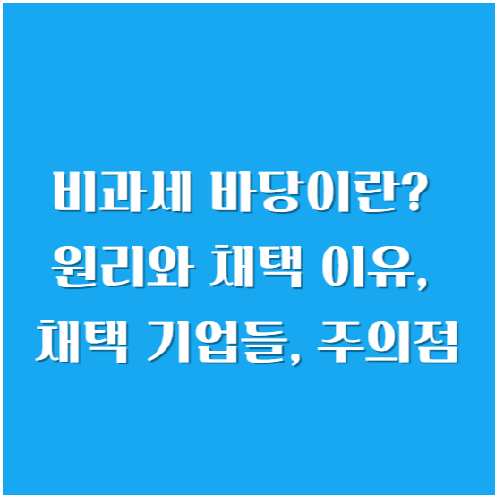 비과세 바당이란? 원리와 채택 이유, 채택 기업들, 주의점