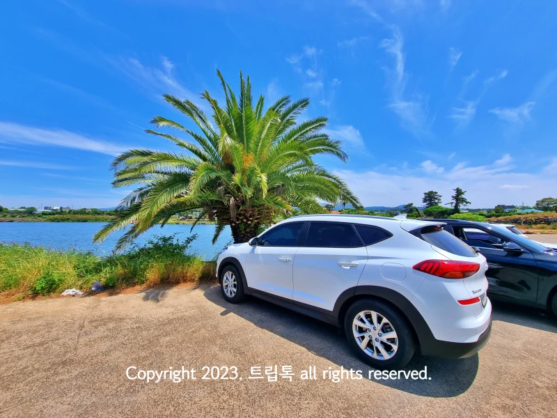 파란 하늘과 저수지가 있고 하얀 SUV 앞에 멋진 야자나무가 있다. 주차장의 모습니다.