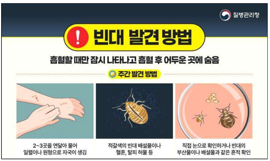 빈대발견방법-주간