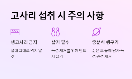 고사리 독소 제거 방법, 독성 제거, 고사리 삶는 법