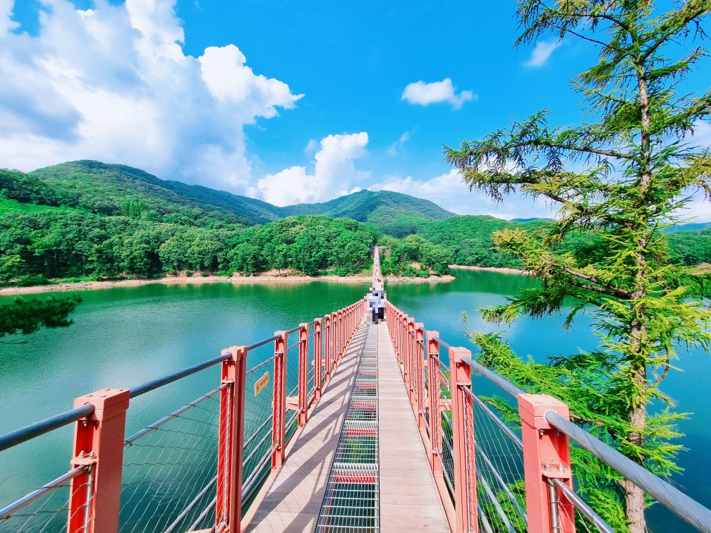 양주 오랑주리 카페: 자연 그대로 실내에 담은 대형 식물원 카페