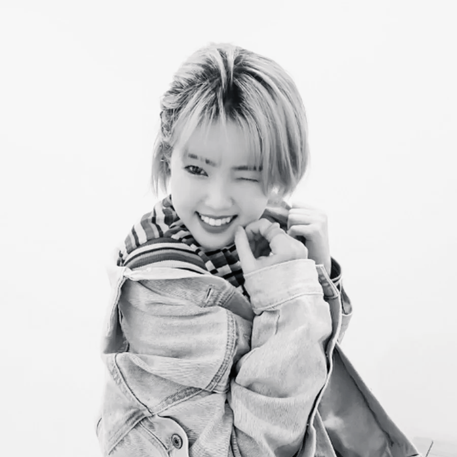 김메이다니-트로트