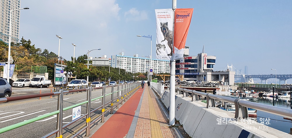 부산 켄트호텔 주변 가볼만한 곳 해변산책길 트레킹