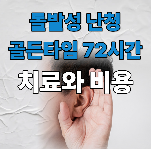 돌발성 난청 이유와 치료비용