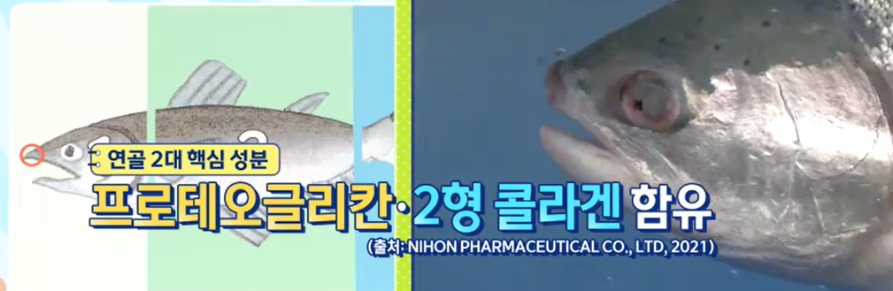 프로테오글리칸