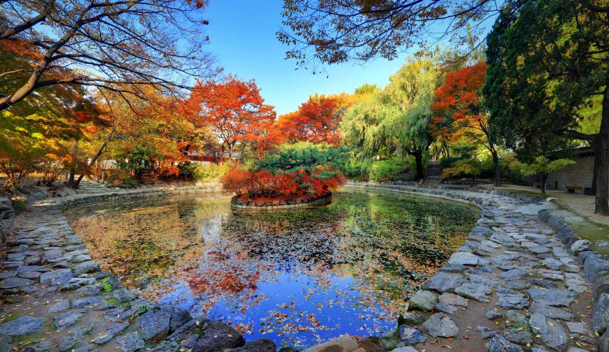 덕수궁 연못 전경