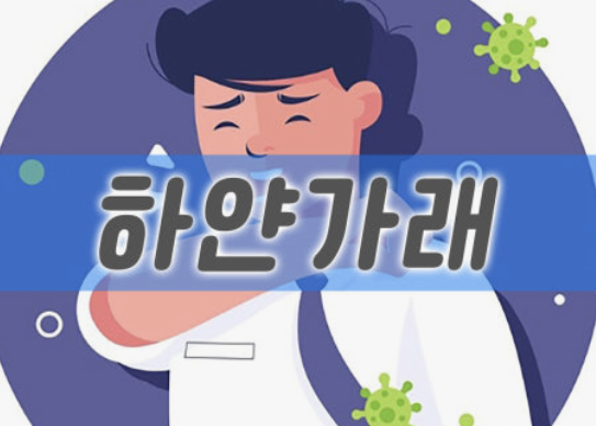 가래 삭히는 방법