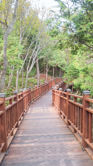 영도 봉래산