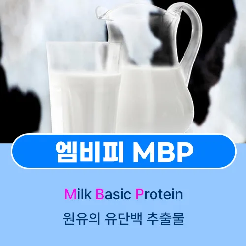 엠비피 MBP