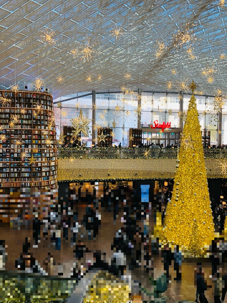 별마당 대형트리1