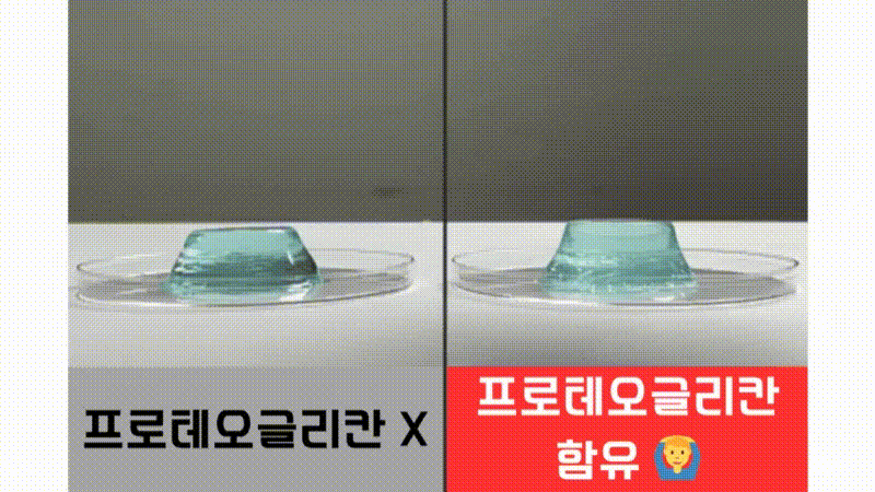 무릎관절영양제