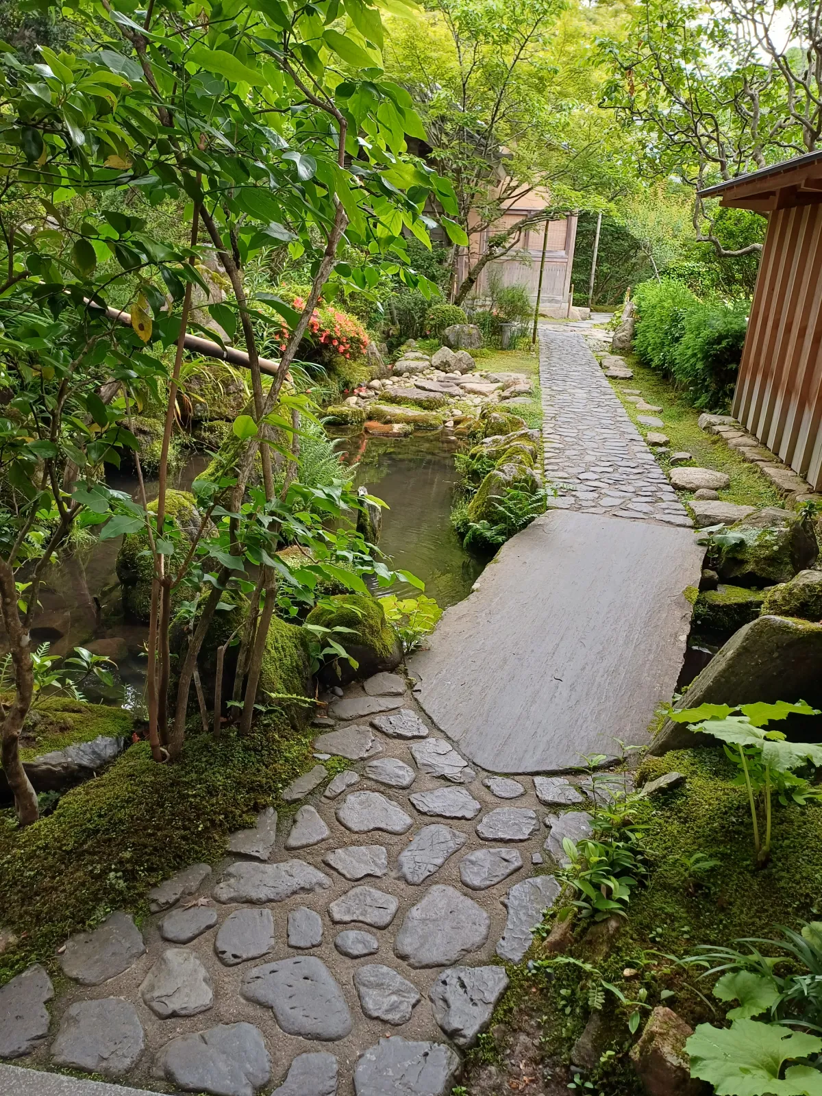 호센인_들어가는_모습