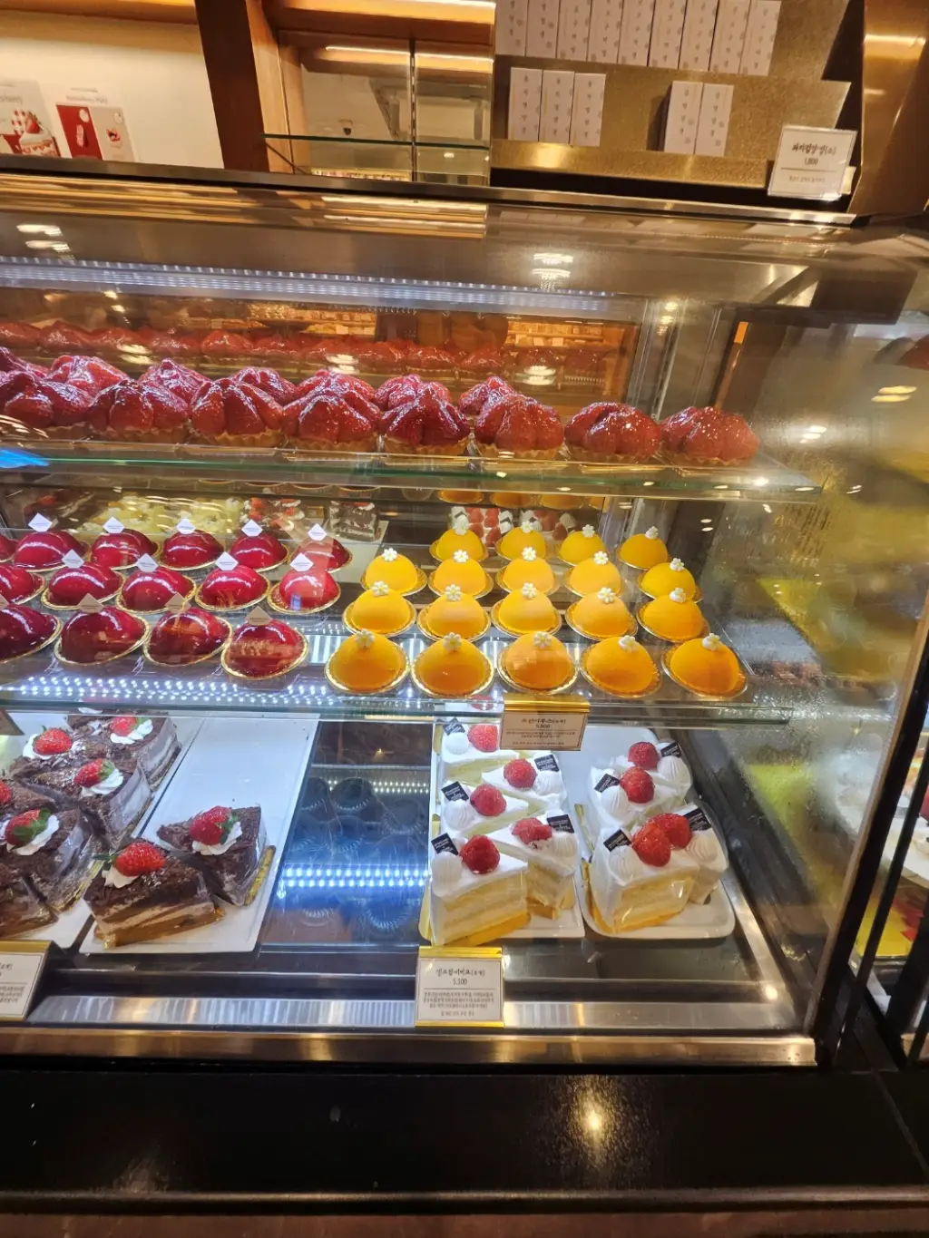 화려한-색감의-케이크