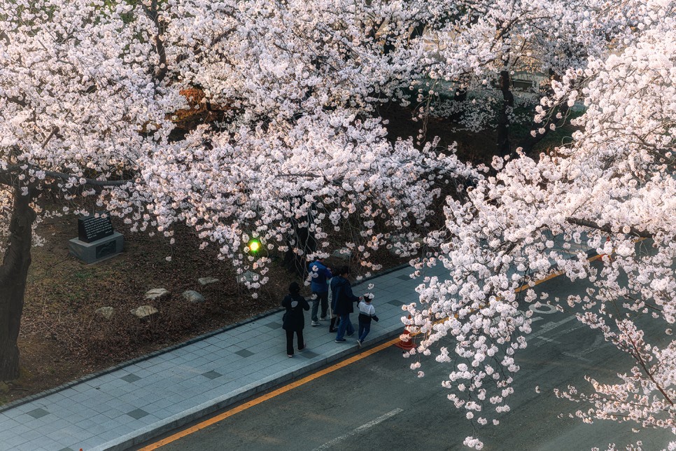 렛츠런파크 서울