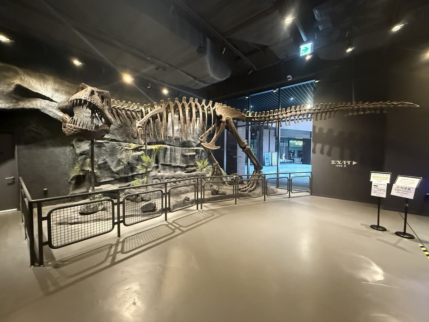 디스커버스 의왕 공룡뼈